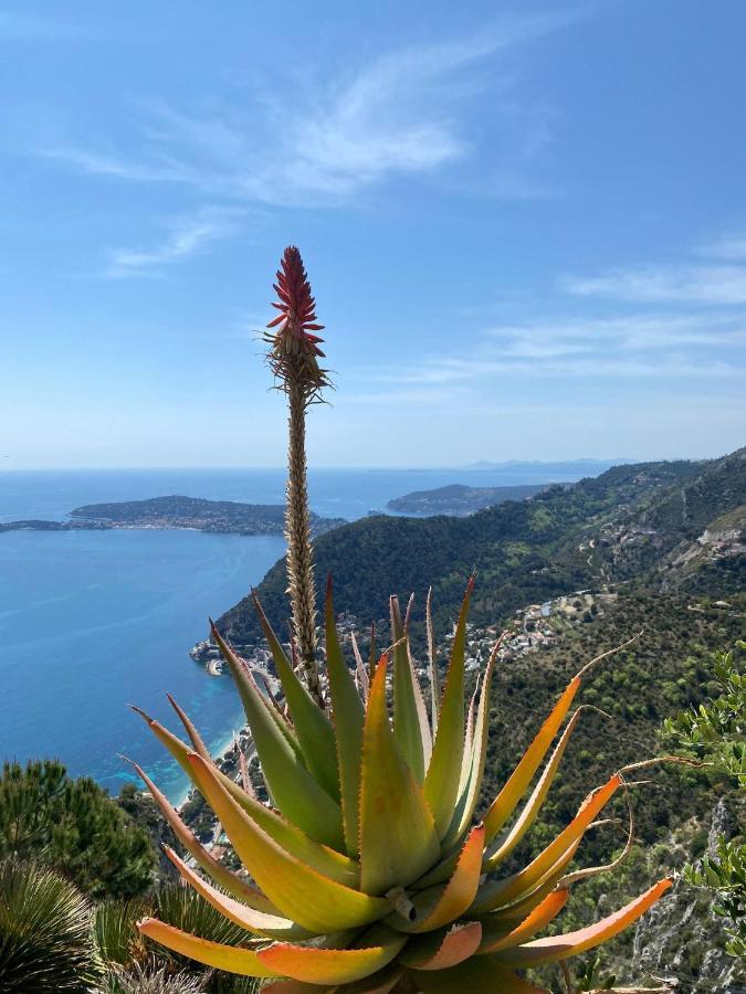 Villa Alexandra Saint-Jean-Cap-Ferrat Exterior photo